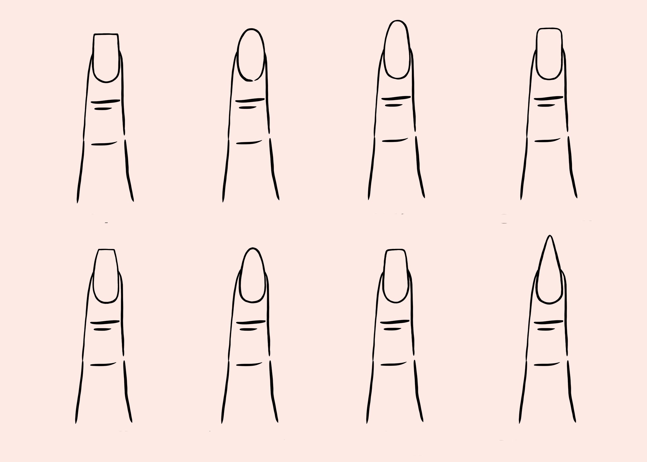 Genetic Nail Shape Guide and Advice — Winchester Bloggers